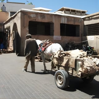 Medina Walking Tour Secrets 6