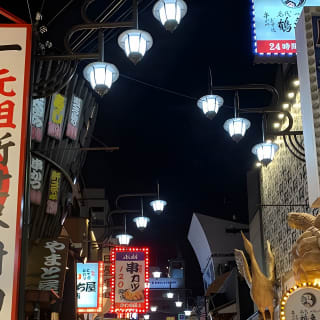 Osaka Highlights: 4-stündige geführte Spaziergangtour mit einem einheimischen Experten 24