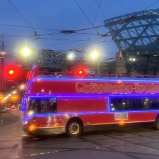Toronto: Night Bus Tour 9