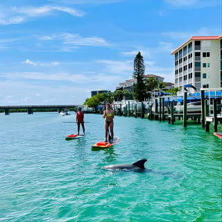 Dolphin and Manatee Adventure Tour in Fort Myers 4