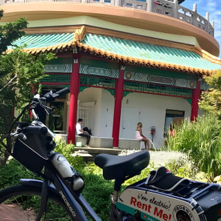 Electric Bike Rental Downtown Norfolk (self guided tour) 6