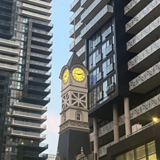 Toronto: Night Bus Tour 11