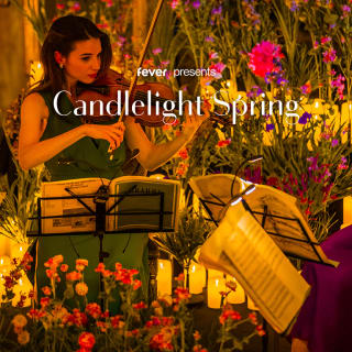Candlelight: Best of Anime Themes at Ohori Park Noh Theater 5
