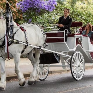Paseo en carruaje por Central Park (VIP - PRIVADO) Desde 1964™ 5