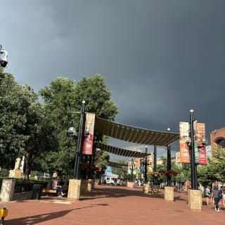 Boulder Detective Mystery Game: Infiltrate a Secret Society! 5