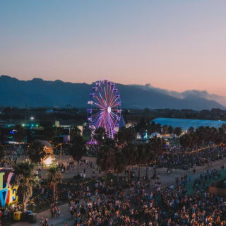 Zevra Festival 2026 8