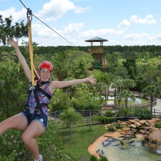 Gatorland Orlando : Screamin' Gator Zip Line 3