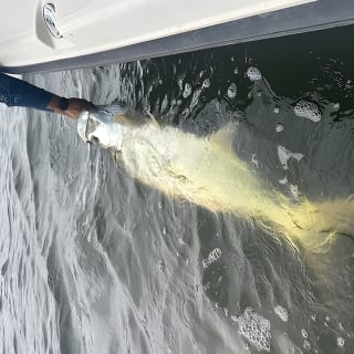 Light Tackle Tarpon & Snook Fishing Charter 20