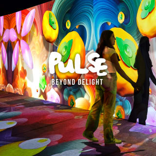 PULSE: Beyond Delight 2