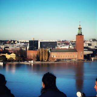 2-Hour Walking Tour Stockholm (Old Town and Surroundings) 2