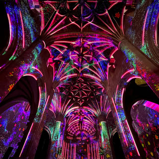Enlightenment: An Immersive Light Show at the historic Saint Stephen's Cathedral 2