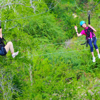 Coral Crater Park: Zipline-Abenteuer 4