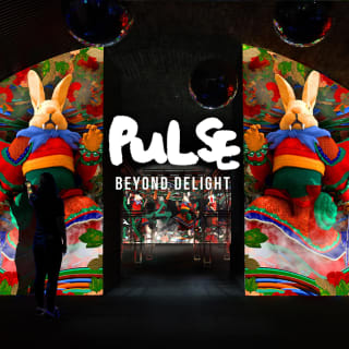PULSE: Beyond Delight 3