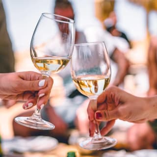 Cata de vinos con comida en el centro histórico de Valencia 3