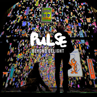 PULSE: Beyond Delight 1
