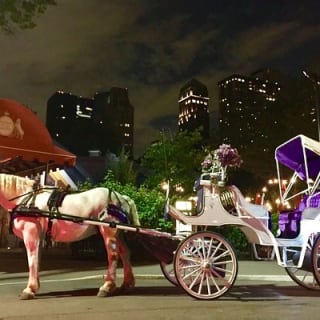 Paseo en carruaje por Central Park (VIP - PRIVADO) Desde 1964™ 10