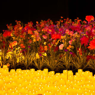 Candlelight Spring: Anéis, Tronos e Dragões 4
