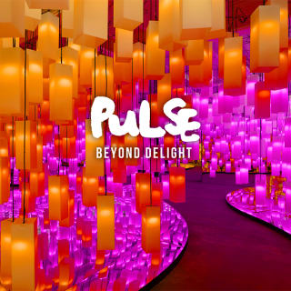PULSE: Beyond Delight 5