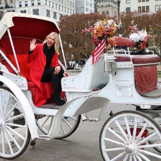 Paseo en carruaje por Central Park (VIP - PRIVADO) Desde 1964™ 11