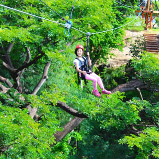Coral Crater Park: Zipline-Abenteuer 5