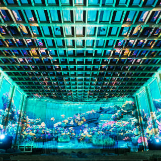 Pixel Planet Ocean Firenze: Uno spettacolo immersivo di luci alla Cattedrale dell’Immagine 4