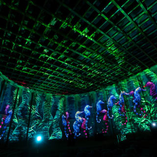 Pixel Planet Ocean Firenze: Uno spettacolo immersivo di luci alla Cattedrale dell’Immagine 5