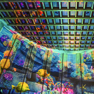Pixel Planet Ocean Firenze: Uno spettacolo immersivo di luci alla Cattedrale dell’Immagine 6