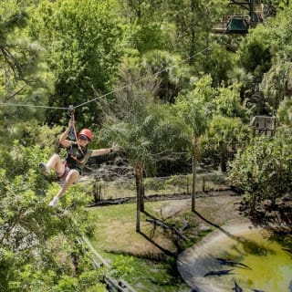 Gatorland Orlando : Screamin' Gator Zip Line 6