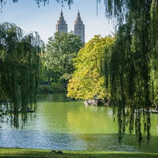 Paseo en carruaje por Central Park (VIP - PRIVADO) Desde 1964™ 13