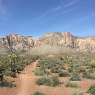 Guided or Self-Guided Road Bike Tour of Red Rock Canyon 1