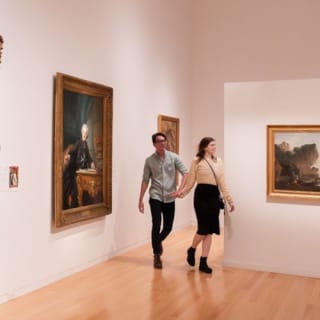 Museo d'arte di San Antonio: biglietto d'ingresso 5