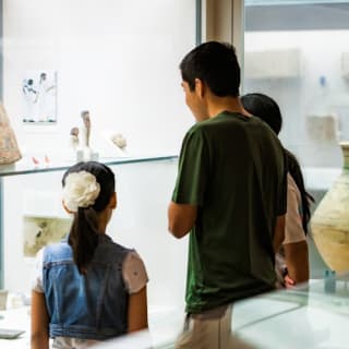 Museo d'arte di San Antonio: biglietto d'ingresso 6