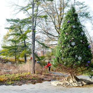 Winter Wonder at Queens Botanical Garden 4