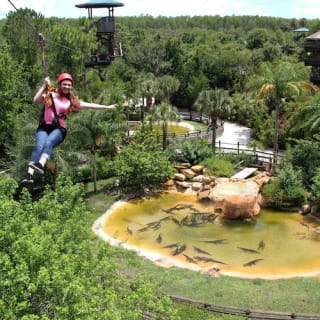 Gatorland Orlando : Screamin' Gator Zip Line 8