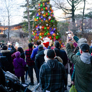 Winter Wonder at Queens Botanical Garden 5