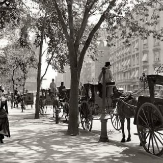 Paseo en carruaje por Central Park (VIP - PRIVADO) Desde 1964™ 15