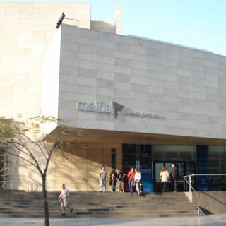 Museo MALBA y tour a pie 5
