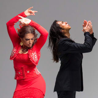 Primera edición del Festival Flamenco Pavón en el Teatro Pavón 3