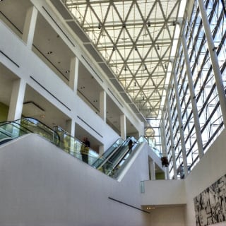 Museo MALBA y tour a pie 6