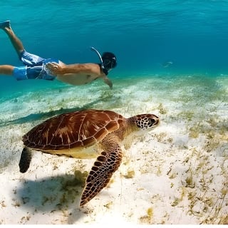 Snorkeling in Paradise - Videos Included 2