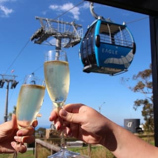 Arthurs Seat Eagle: Roundtrip Gondola Ticket + Drink 1