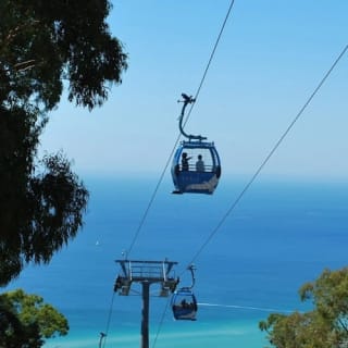 Arthurs Seat Eagle: Roundtrip Gondola Ticket + Drink 4