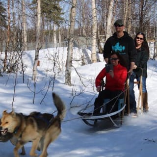 Dog Sledding Adventure in Willow, Alaska 9