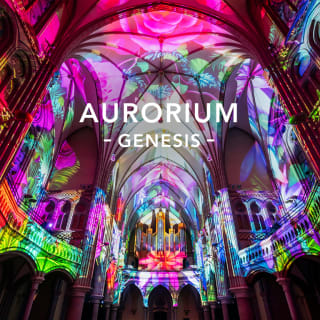 Genesis : un spectacle lumineux au cœur de la Chapelle Reille - Liste d’attente 3