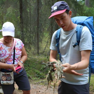 Magical Taiga Forest Hike con Almuerzo y Transporte 10