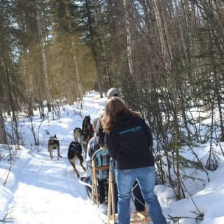 Dog Sledding Adventure in Willow, Alaska 10