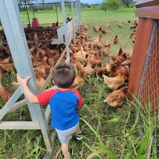 Eco Friendly Farming Tour to Explore Dorado's Most Beautiful Farm 4