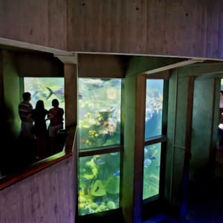 New England Aquarium : billet d'entrée 7