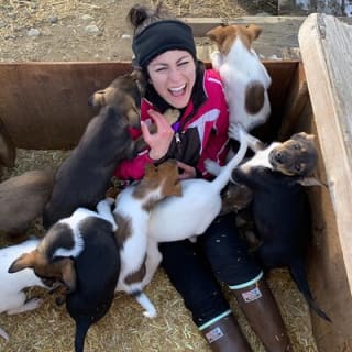 Dog Sledding Adventure in Willow, Alaska 13