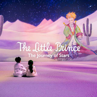 The Little Prince: The Journey of Stars 2